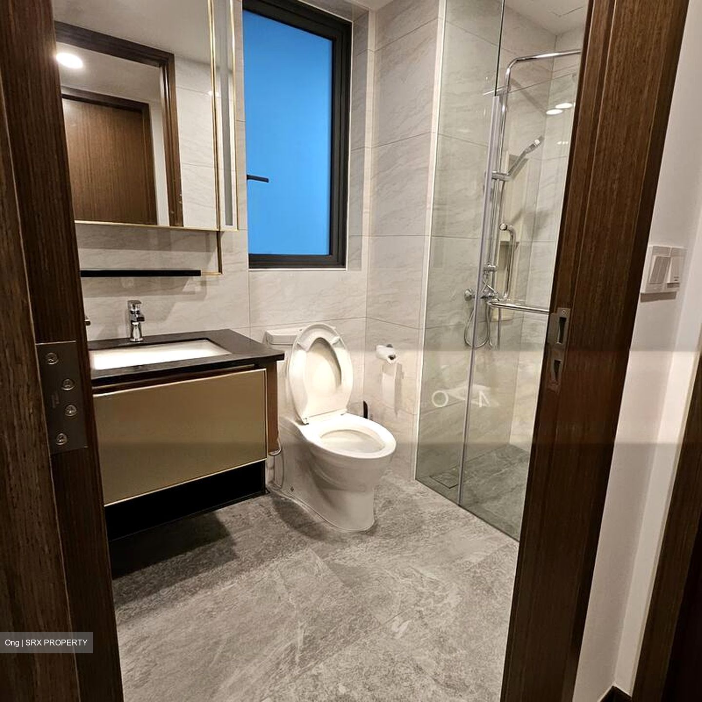 Normanton Park (D5), Apartment #538496901